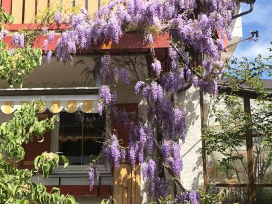 Haus Oberland Apartman Bad Endorf Kültér fotó